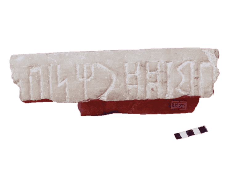 م.ب 231